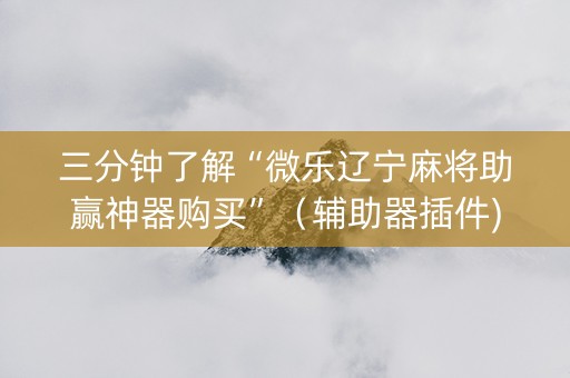 三分钟了解“微乐辽宁麻将助赢神器购买”（辅助器插件)