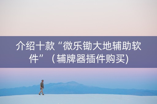 介绍十款“微乐锄大地辅助软件”（辅牌器插件购买)