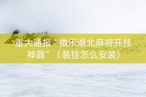 重大通报“微乐湖北麻将开挂神器”（装挂怎么安装)
