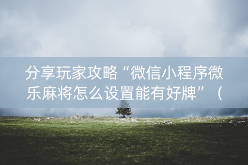 分享玩家攻略“微信小程序微乐麻将怎么设置能有好牌”（攻略插件)