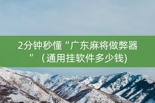 2分钟秒懂“广东麻将做弊器”（通用挂软件多少钱)