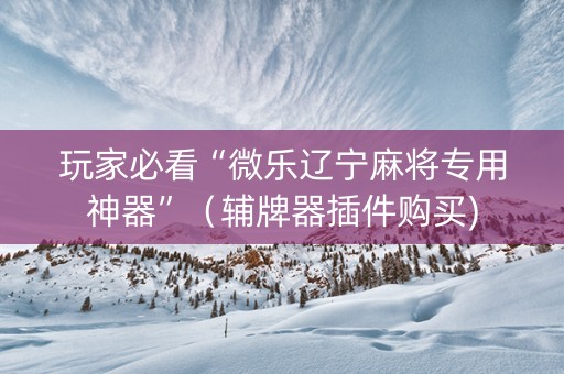 玩家必看“微乐辽宁麻将专用神器”（辅牌器插件购买)