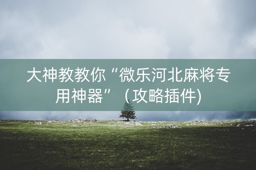 大神教教你“微乐河北麻将专用神器”（攻略插件)