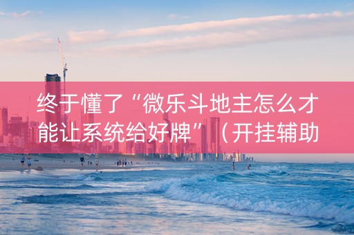 终于懂了“微乐斗地主怎么才能让系统给好牌”（开挂辅助器脚本)
