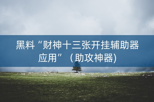 黑料“财神十三张开挂辅助器应用”（助攻神器)