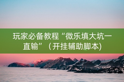 玩家必备教程“微乐填大坑一直输”（开挂辅助脚本)
