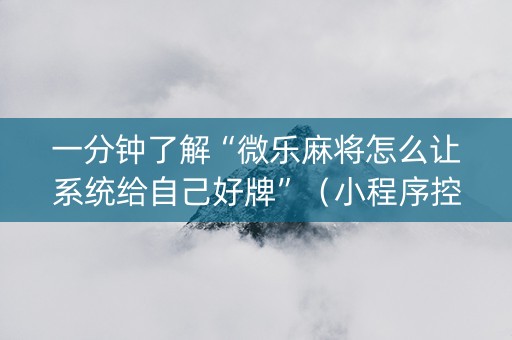 一分钟了解“微乐麻将怎么让系统给自己好牌”（小程序控牌器)