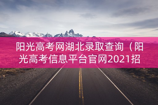 阳光高考网湖北录取查询（阳光高考信息平台官网2021招生章程湖北）