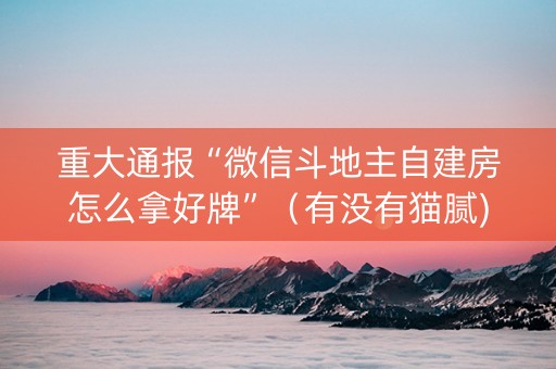 重大通报“微信斗地主自建房怎么拿好牌”（有没有猫腻)