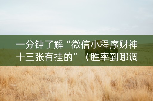 一分钟了解“微信小程序财神十三张有挂的”（胜率到哪调)