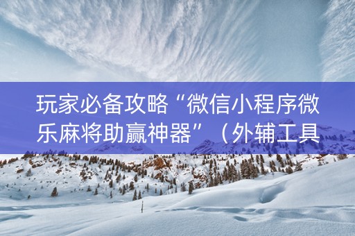 玩家必备攻略“微信小程序微乐麻将助赢神器”（外辅工具)