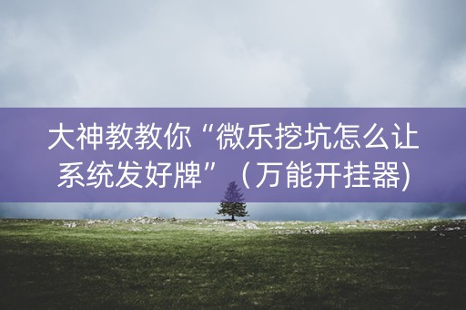 大神教教你“微乐挖坑怎么让系统发好牌”（万能开挂器)