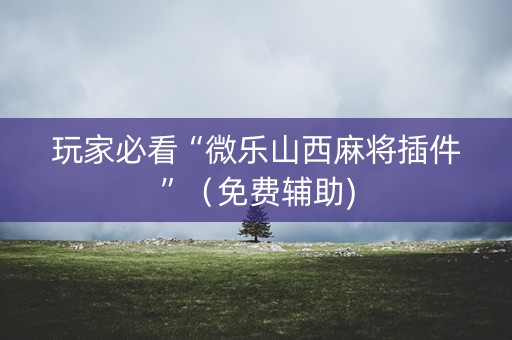 玩家必看“微乐山西麻将插件”（免费辅助)