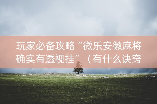 玩家必备攻略“微乐安徽麻将确实有透视挂”（有什么诀窍)