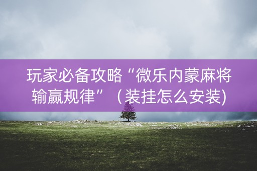 玩家必备攻略“微乐内蒙麻将输赢规律”（装挂怎么安装)