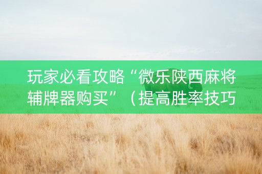 玩家必看攻略“微乐陕西麻将辅牌器购买”（提高胜率技巧)