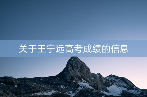 关于王宁远高考成绩的信息