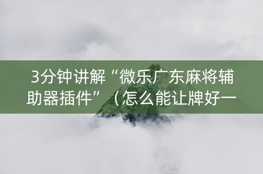 3分钟讲解“微乐广东麻将辅助器插件”（怎么能让牌好一点)