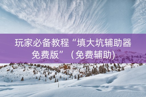玩家必备教程“填大坑辅助器免费版”（免费辅助)