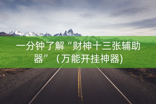 一分钟了解“财神十三张辅助器”（万能开挂神器)