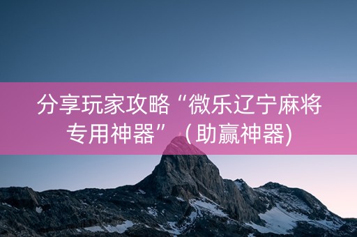分享玩家攻略“微乐辽宁麻将专用神器”（助赢神器)
