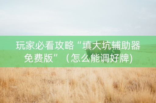 玩家必看攻略“填大坑辅助器免费版”（怎么能调好牌)