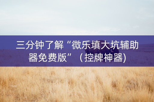三分钟了解“微乐填大坑辅助器免费版”（控牌神器)