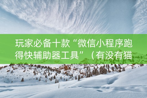 玩家必备十款“微信小程序跑得快辅助器工具”（有没有猫腻)