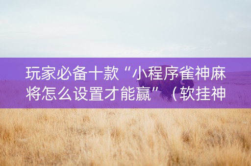玩家必备十款“小程序雀神麻将怎么设置才能赢”（软挂神器)