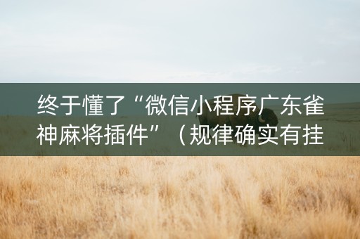 终于懂了“微信小程序广东雀神麻将插件”（规律确实有挂)