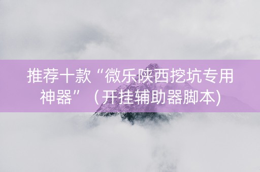 推荐十款“微乐陕西挖坑专用神器”（开挂辅助器脚本)