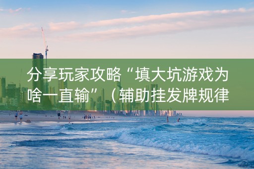 分享玩家攻略“填大坑游戏为啥一直输”（辅助挂发牌规律)