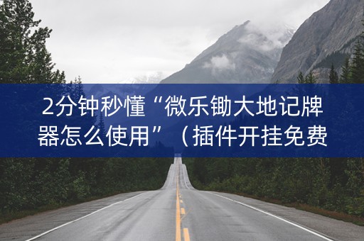 2分钟秒懂“微乐锄大地记牌器怎么使用”（插件开挂免费AI)