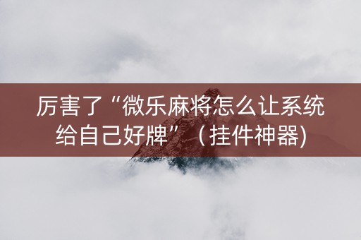 厉害了“微乐麻将怎么让系统给自己好牌”（挂件神器)