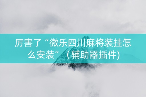 厉害了“微乐四川麻将装挂怎么安装”（辅助器插件)