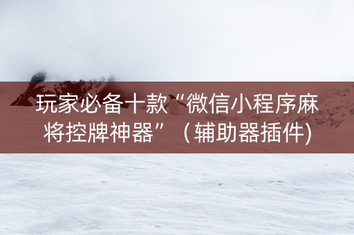 玩家必备十款“微信小程序麻将控牌神器”（辅助器插件)