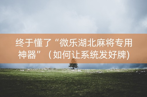终于懂了“微乐湖北麻将专用神器”（如何让系统发好牌)