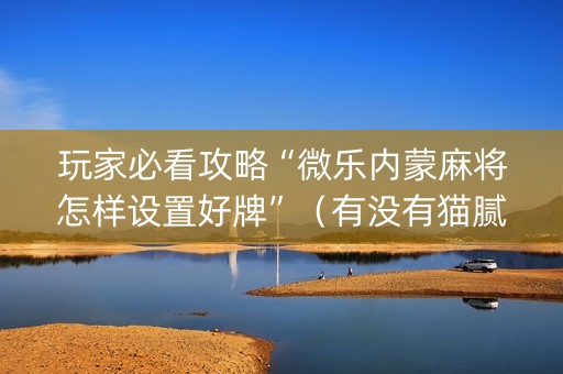 玩家必看攻略“微乐内蒙麻将怎样设置好牌”（有没有猫腻)