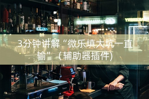 3分钟讲解“微乐填大坑一直输”（辅助器插件)