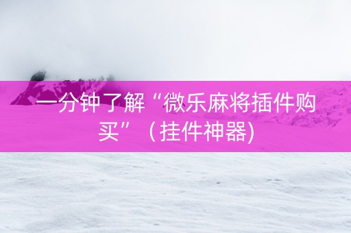 一分钟了解“微乐麻将插件购买”（挂件神器)