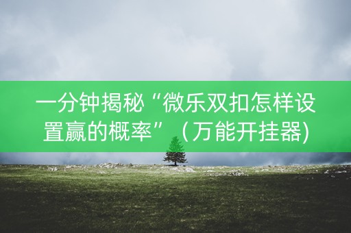 一分钟揭秘“微乐双扣怎样设置赢的概率”（万能开挂器)