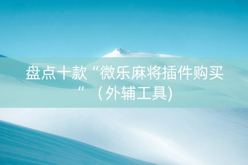 盘点十款“微乐麻将插件购买”（外辅工具)