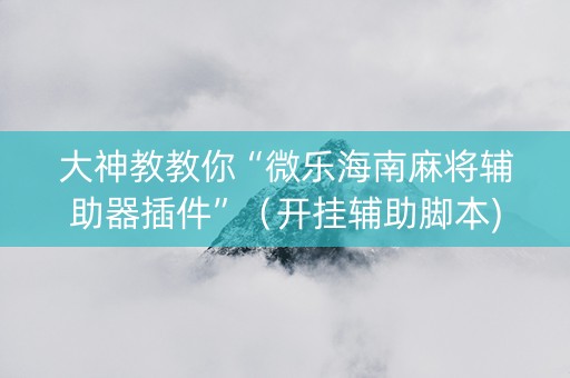 大神教教你“微乐海南麻将辅助器插件”（开挂辅助脚本)