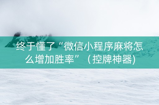 终于懂了“微信小程序麻将怎么增加胜率”（控牌神器)