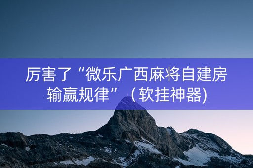 厉害了“微乐广西麻将自建房输赢规律”（软挂神器)