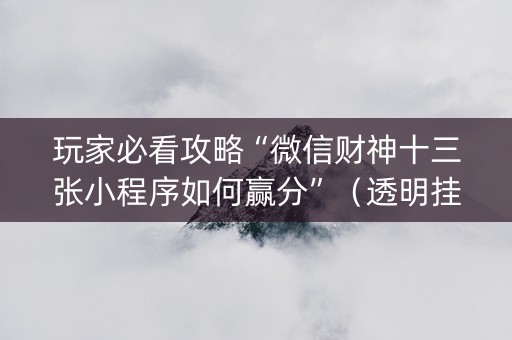 玩家必看攻略“微信财神十三张小程序如何赢分”（透明挂辅助器)