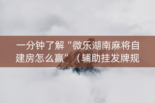 一分钟了解“微乐湖南麻将自建房怎么赢”（辅助挂发牌规律)