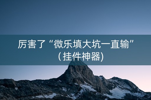 厉害了“微乐填大坑一直输”（挂件神器)