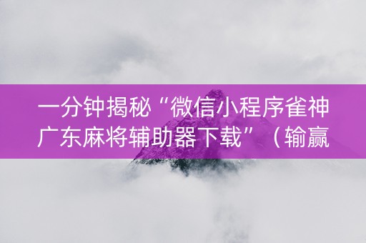 一分钟揭秘“微信小程序雀神广东麻将辅助器下载”（输赢规律)