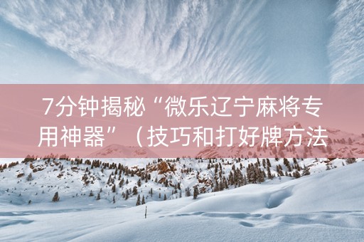 7分钟揭秘“微乐辽宁麻将专用神器”（技巧和打好牌方法)